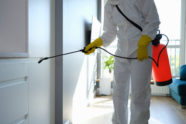 Best Home Mold Removal  in Vardaman, MS