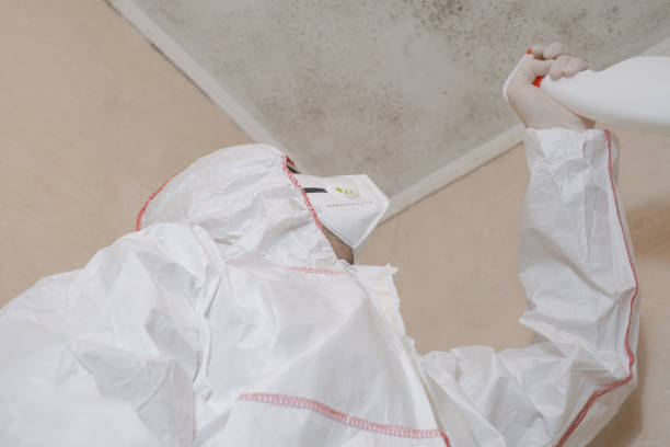 Best Mold Testing  in Vardaman, MS